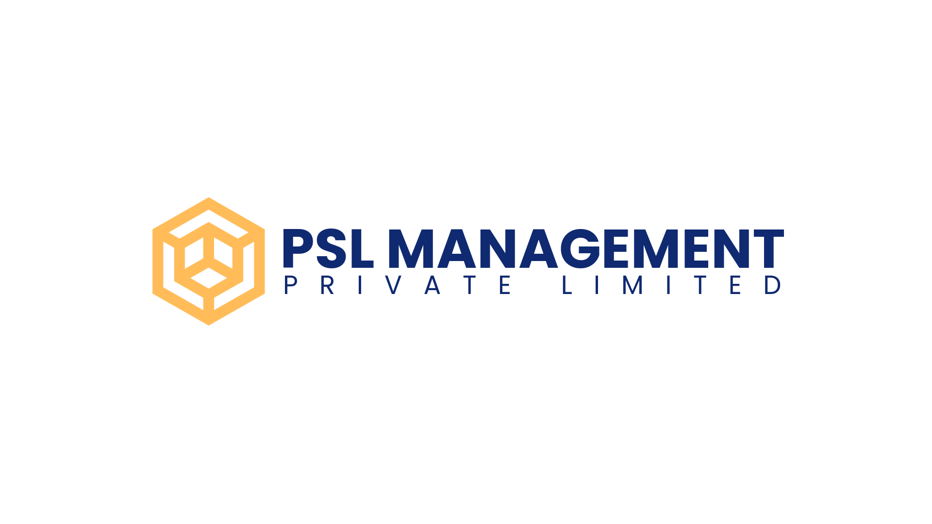 PSL Pte Ltd Logo (1)